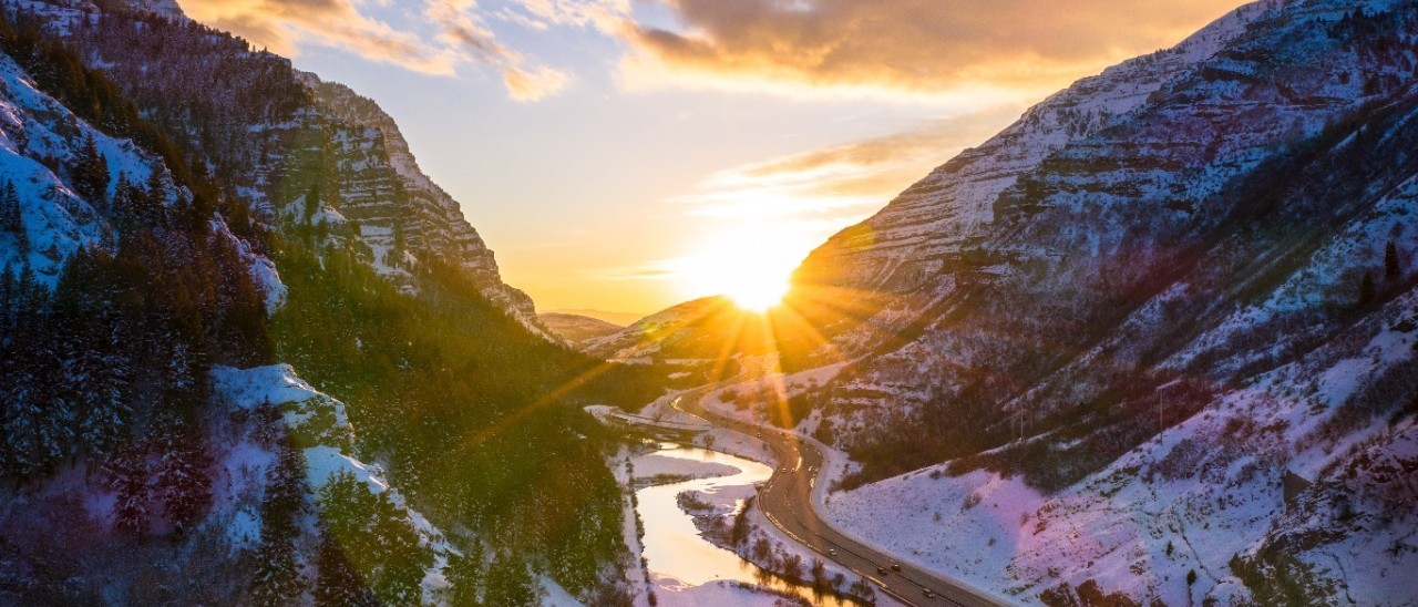 政策风暴下，IVD经销商的破局之路！