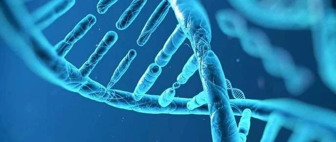 “会说话的基因”，一场百亿级市场背后的争议与挑战