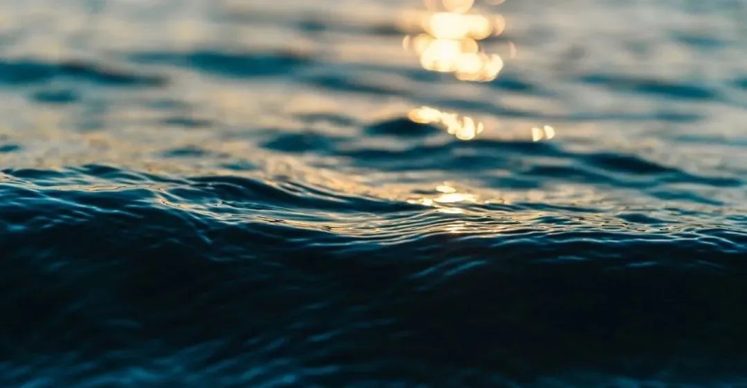 谁能穿越周期？中国CAR-T疗法的“传奇”